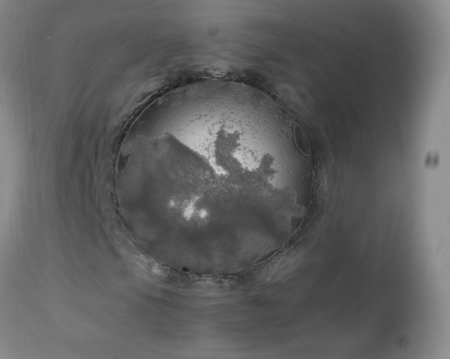 X0000112971105200909031039