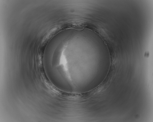 X0000112971106200909031039