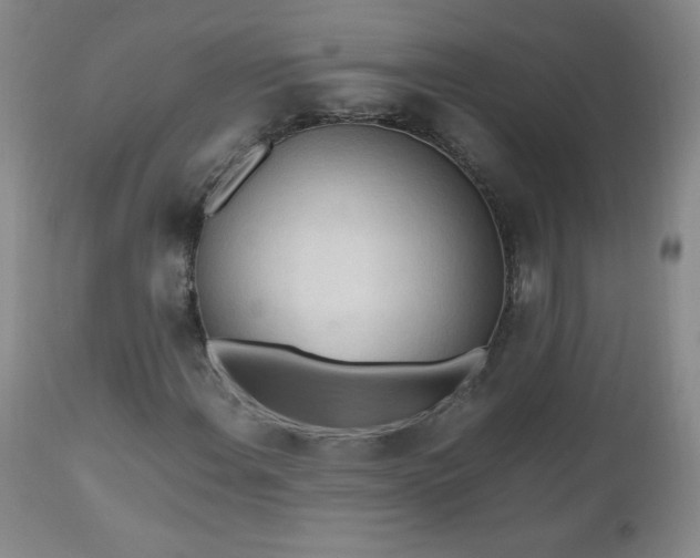 X0000112971108200909031039