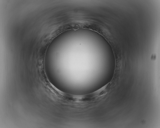 X0000112971109200909031039