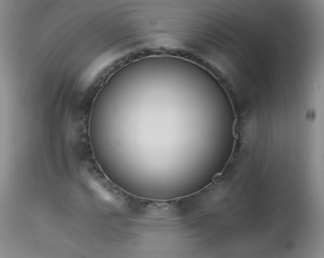 X0000112971112200909031039