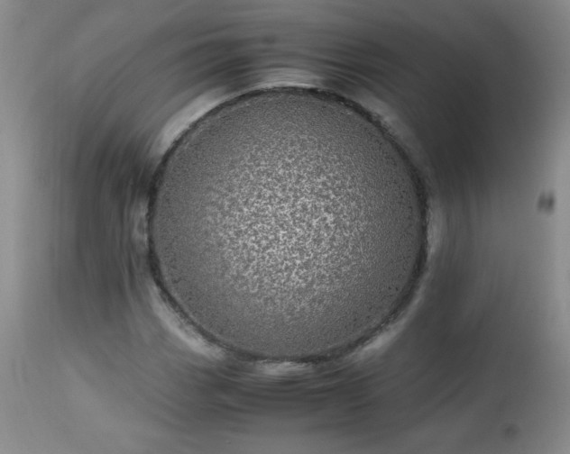 X0000112971113200909031039