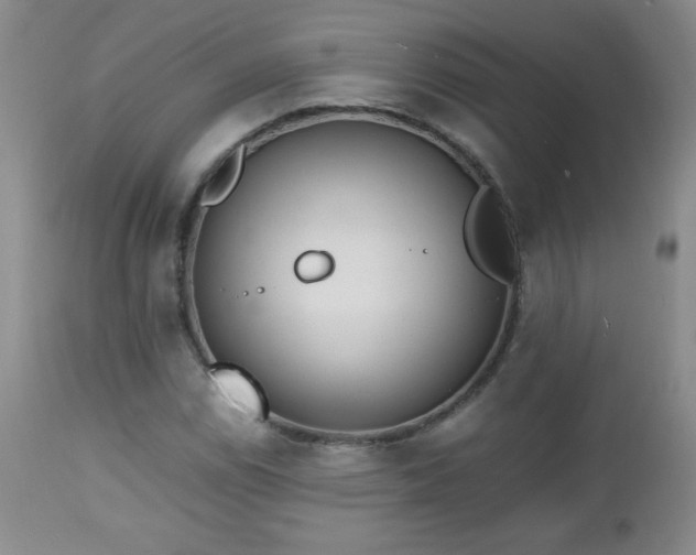 X0000112971114200909031039