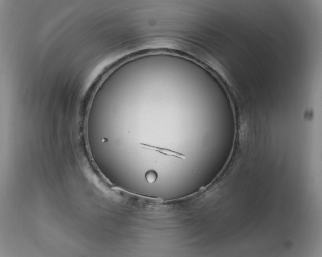 X0000112971116200909031039