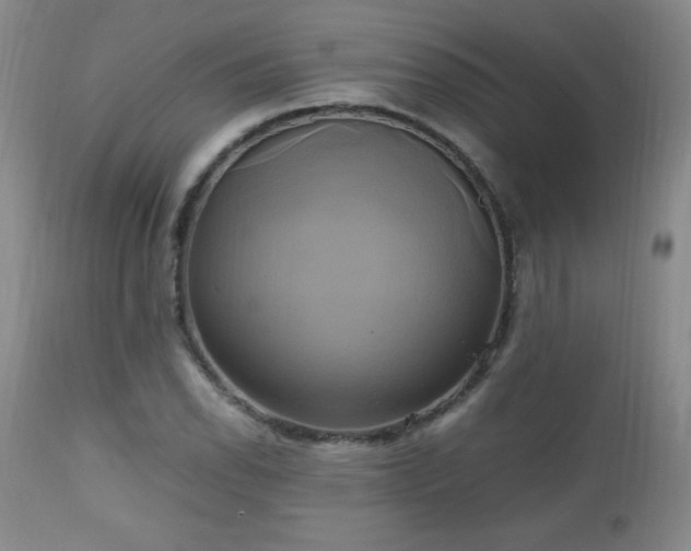 X0000112971118200909031039