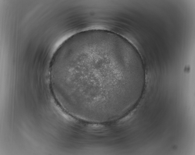 X0000112971119200909031039