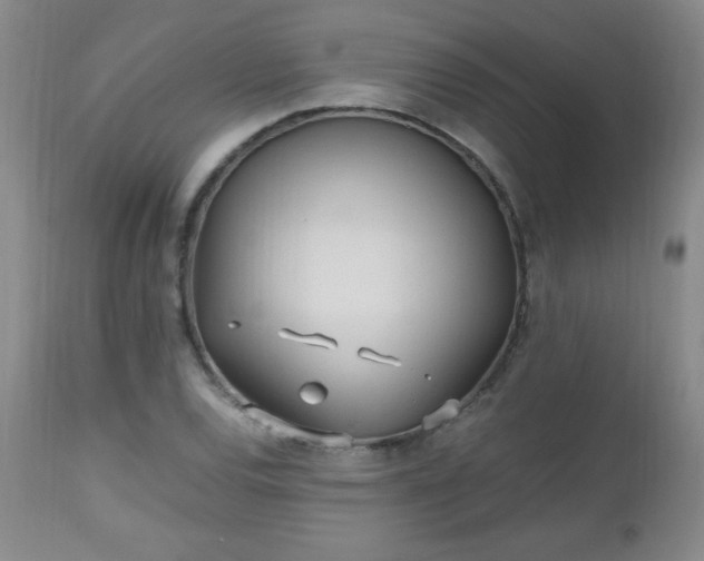 X0000112971120200909031039