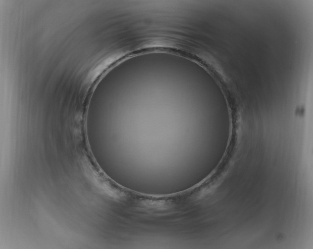 X0000112971121200909031039