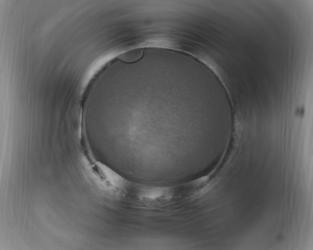 X0000112971123200909031039