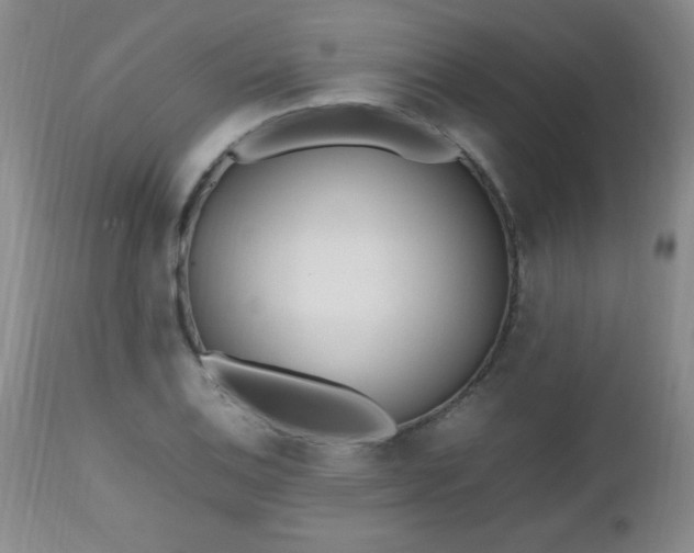 X0000112971124200909031039