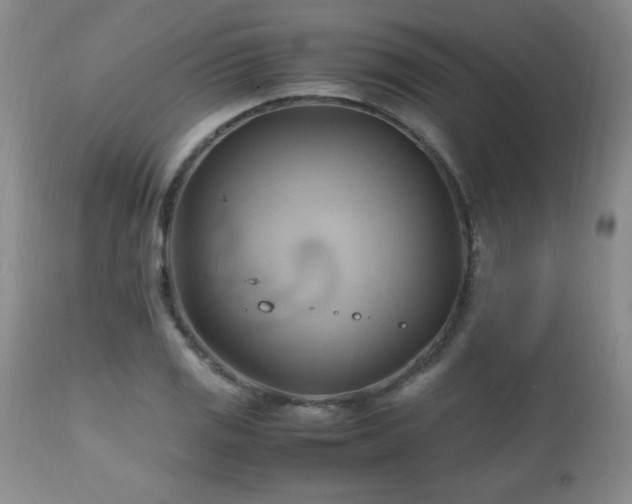 X0000112971125200909031039