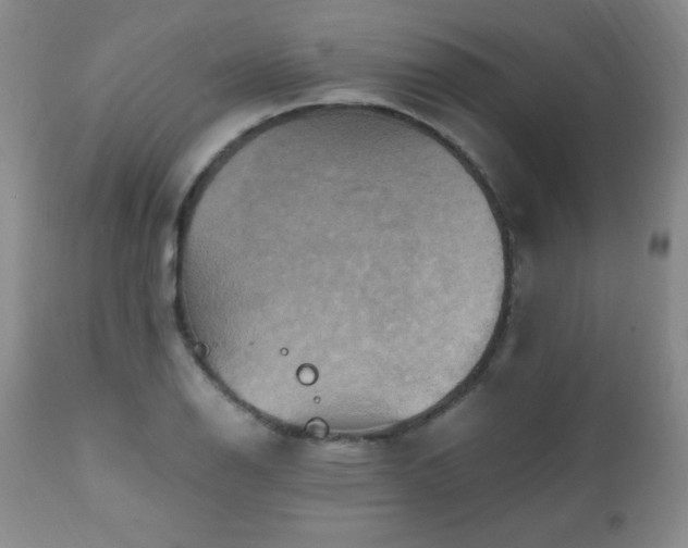 X0000112971126200909031039