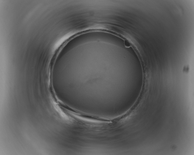 X0000112971127200909031039