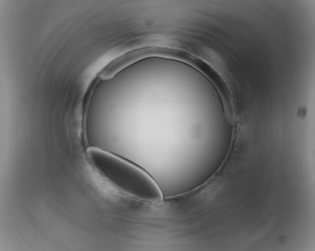 X0000112971128200909031039