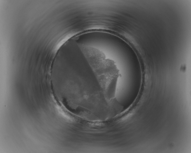 X0000112971129200909031039