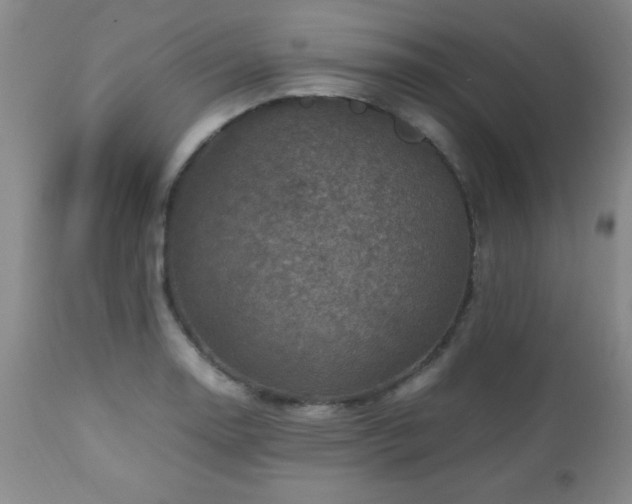 X0000112971130200909031039