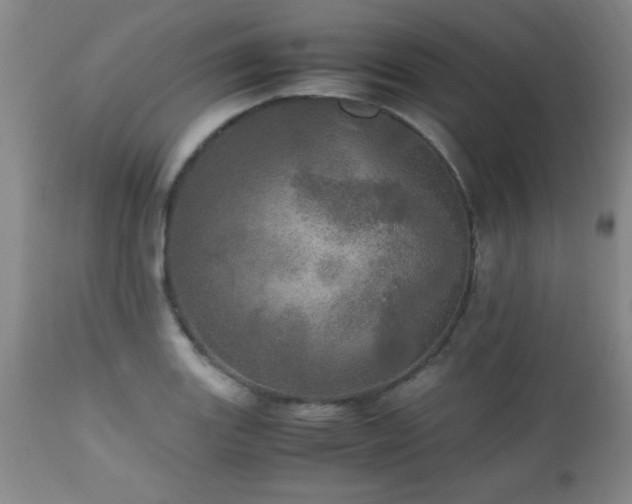 X0000112971131200909031039