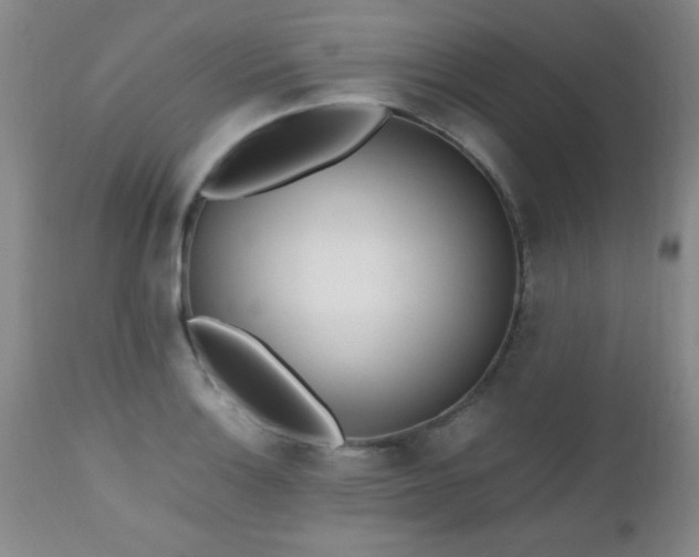 X0000112971132200909031039