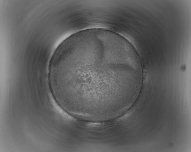 X0000112971135200909031039