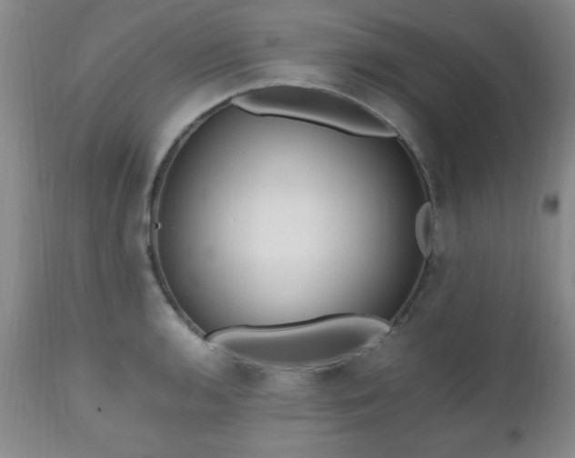 X0000112971136200909031039