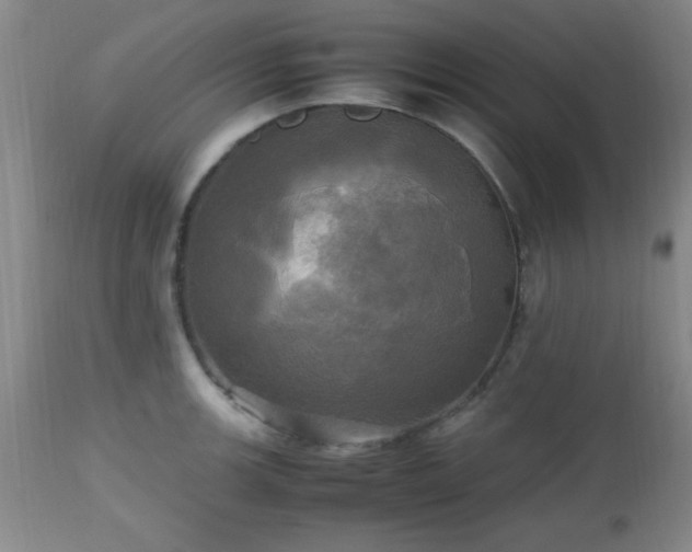 X0000112971139200909031039