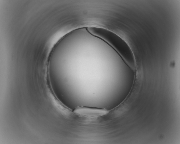 X0000112971144200909031039