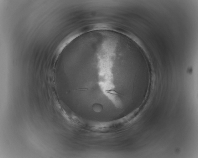 X0000112971145200909031039