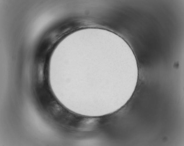 X0000112971150200909031039