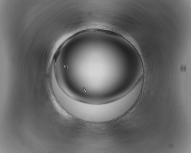 X0000112971152200909031039