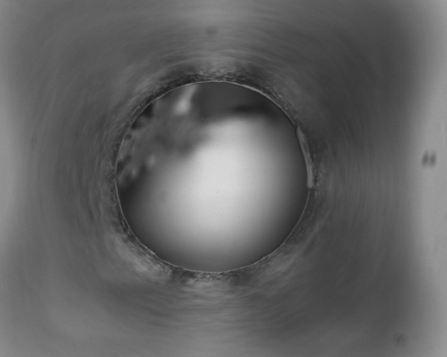 X0000112971153200909031039