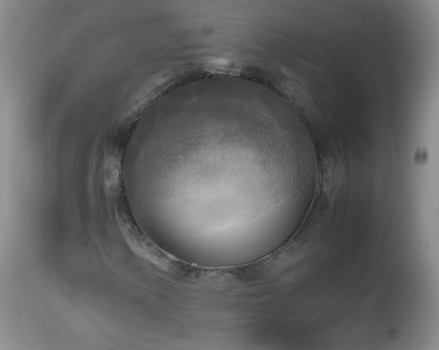 X0000112971154200909031039