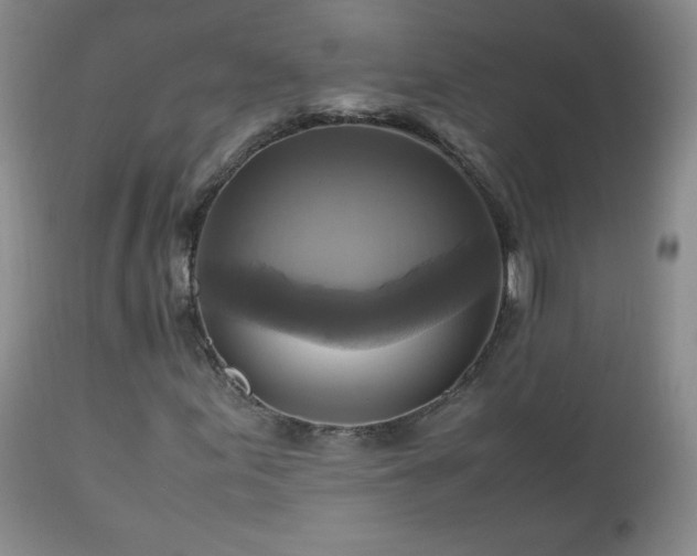 X0000112971155200909031039