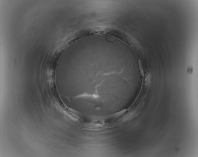 X0000112971156200909031039