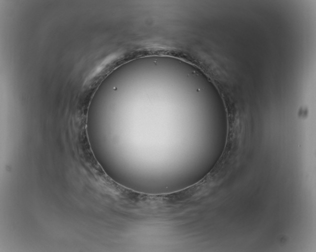 X0000112971157200909031039