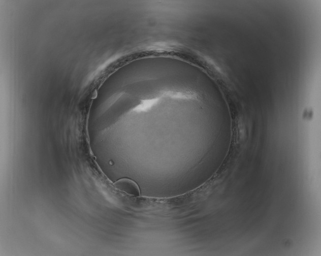 X0000112971158200909031039