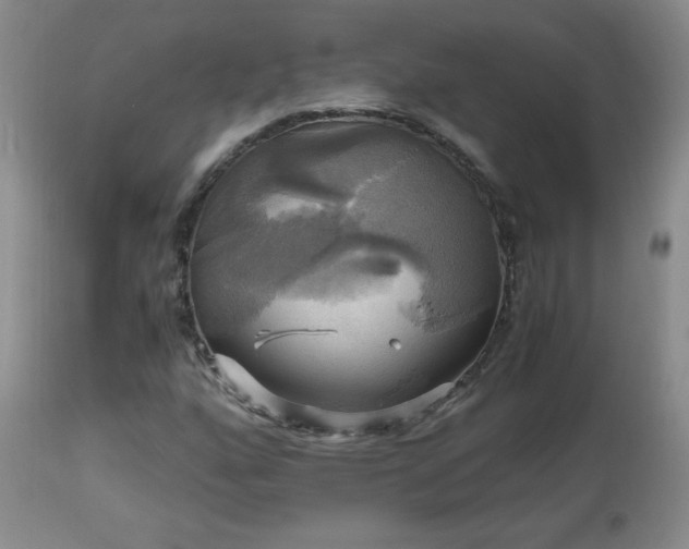 X0000112971160200909031038