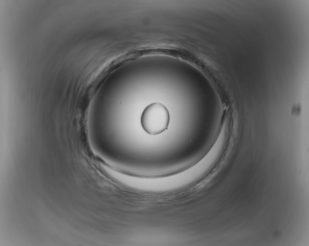 X0000112971161200909031038