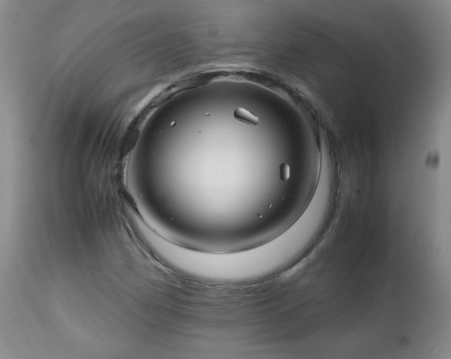 X0000112971162200909031038