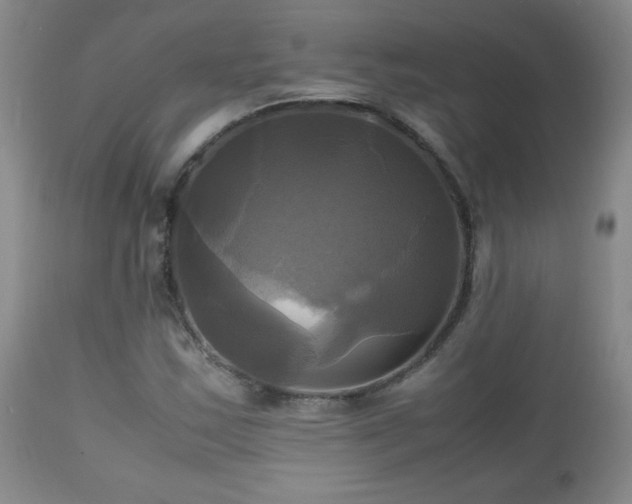 X0000112971163200909031038