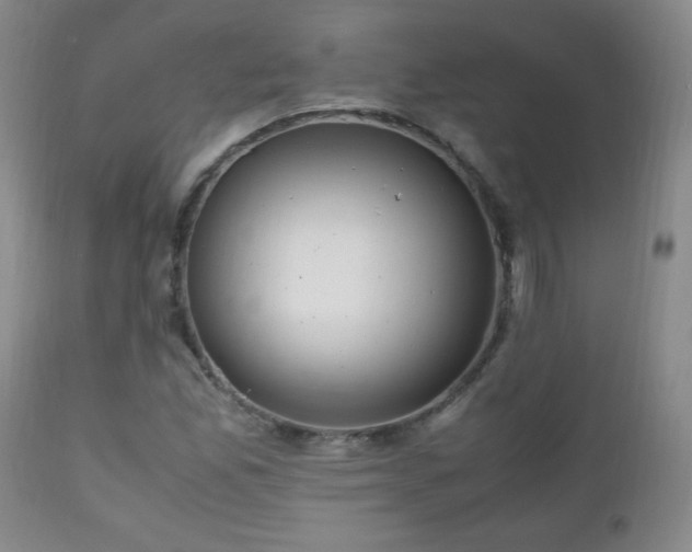 X0000112971165200909031038