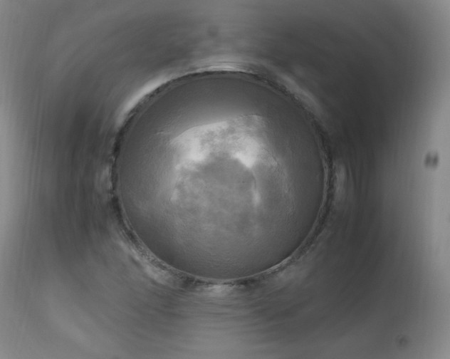 X0000112971166200909031038