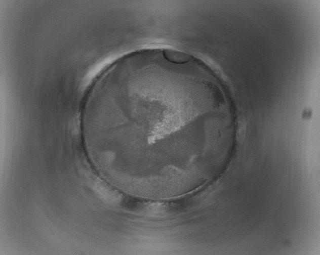 X0000112971167200909031038