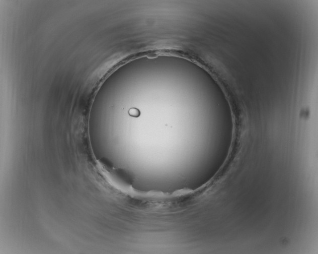 X0000112971169200909031038