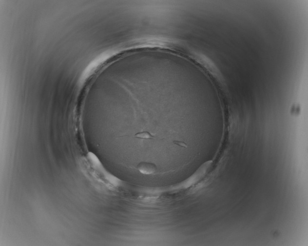 X0000112971172200909031038