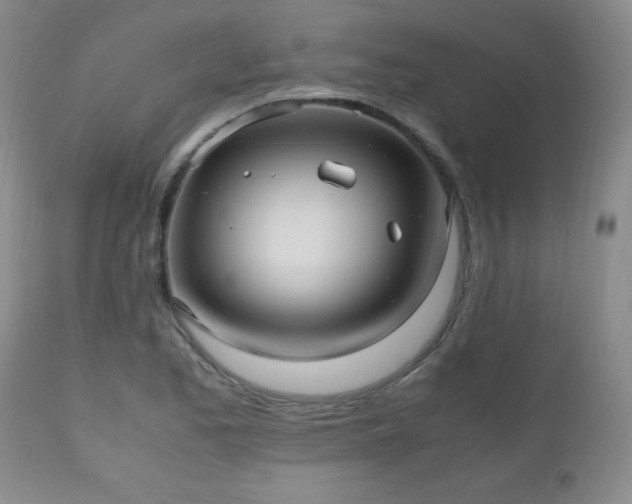 X0000112971173200909031038