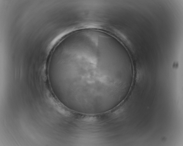 X0000112971174200909031038