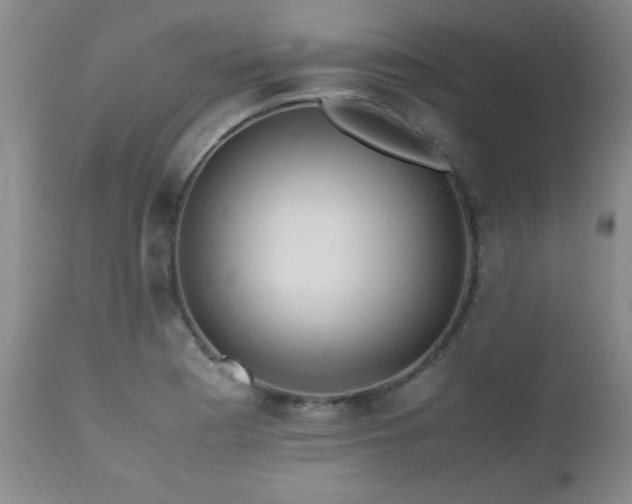 X0000112971177200909031038