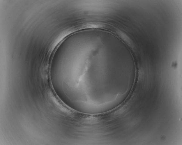 X0000112971178200909031038