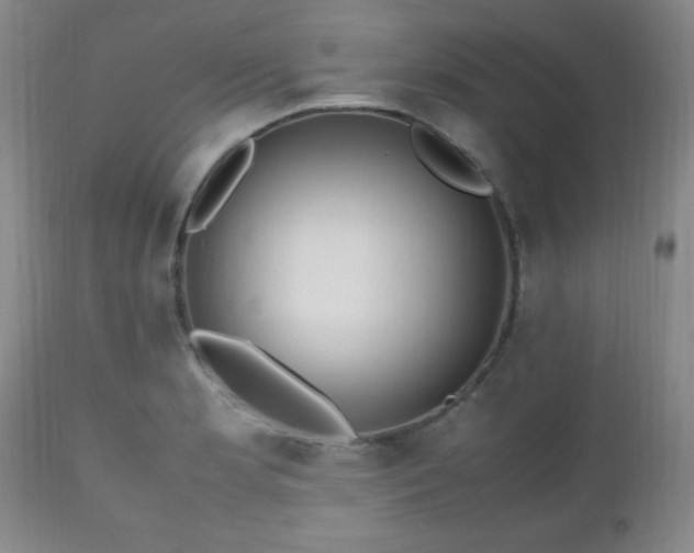 X0000112971181200909031038