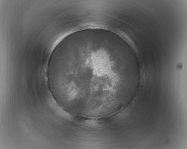 X0000112971182200909031038